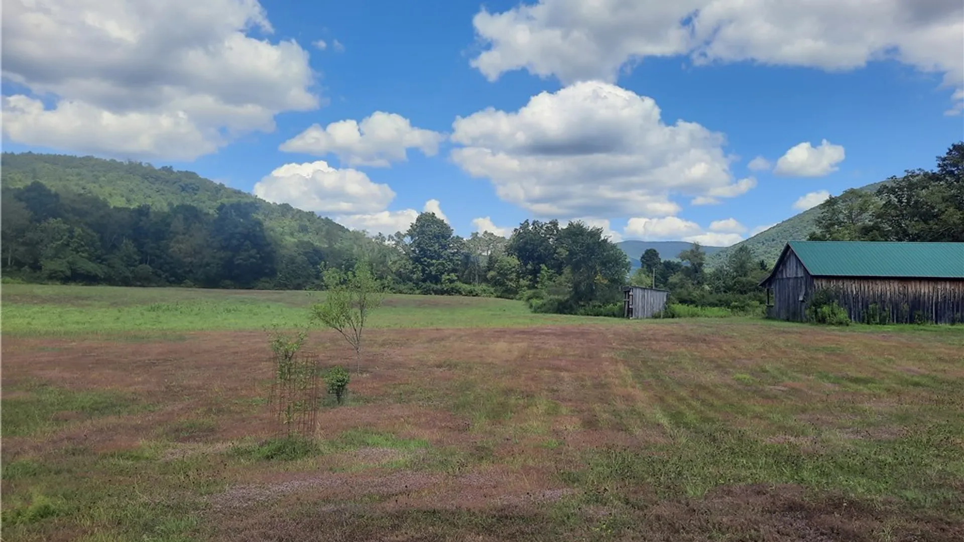 Property at County Route 41, Roxbury, NY 12474 40