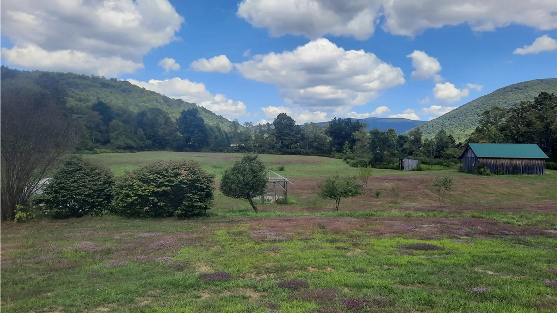 Property at County Route 41, Roxbury, NY 12474 41