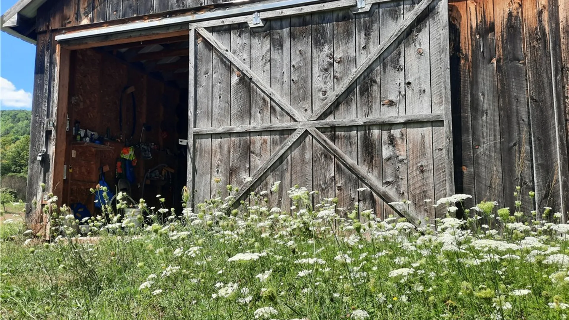 Property at County Route 41, Roxbury, NY 12474 43