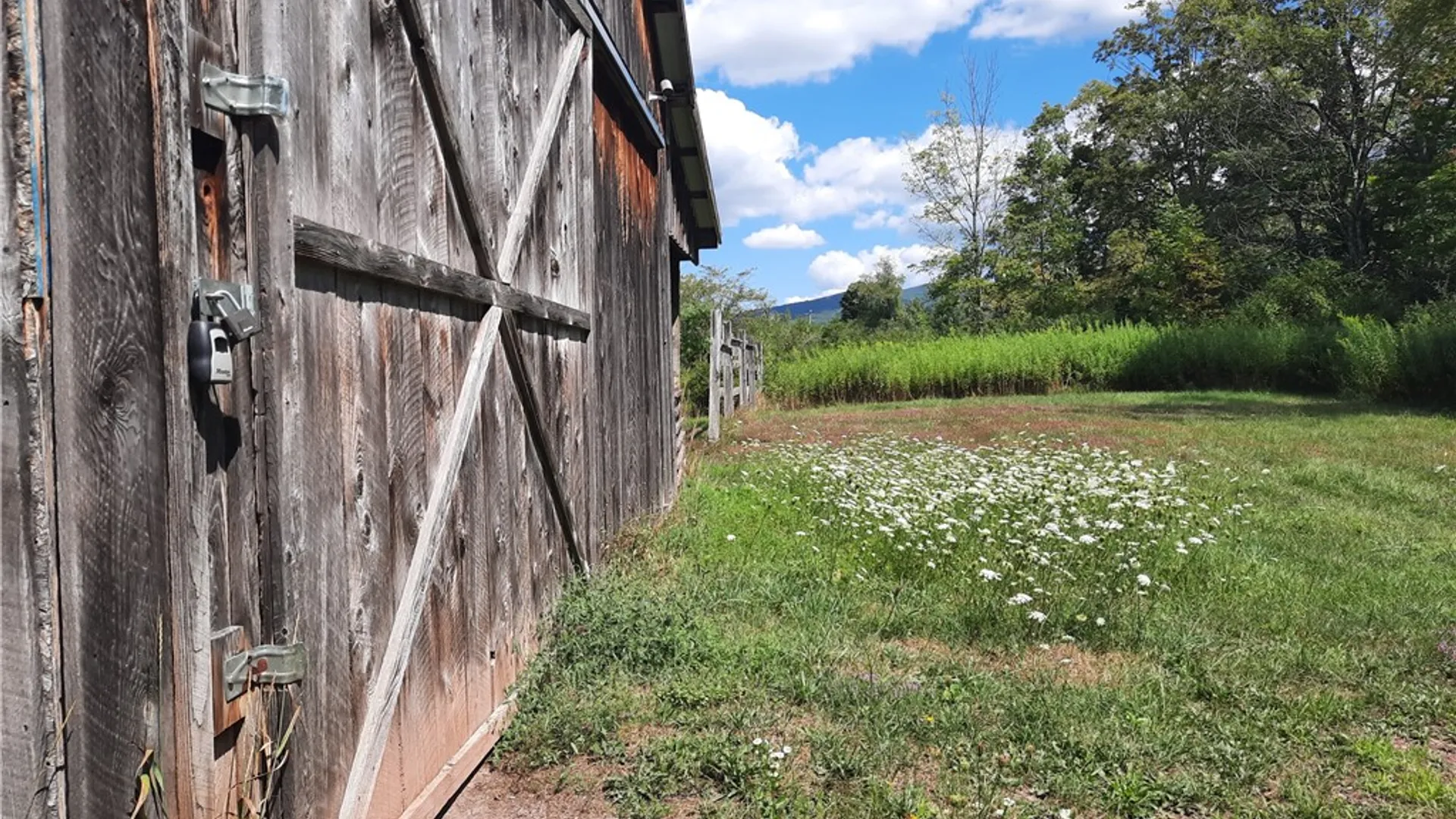 Property at County Route 41, Roxbury, NY 12474 44