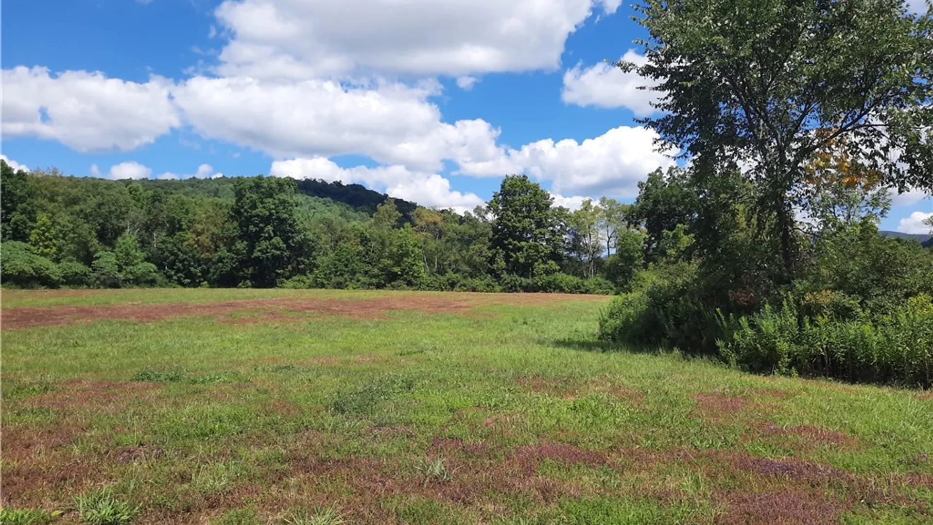 Property at County Route 41, Roxbury, NY 12474 46