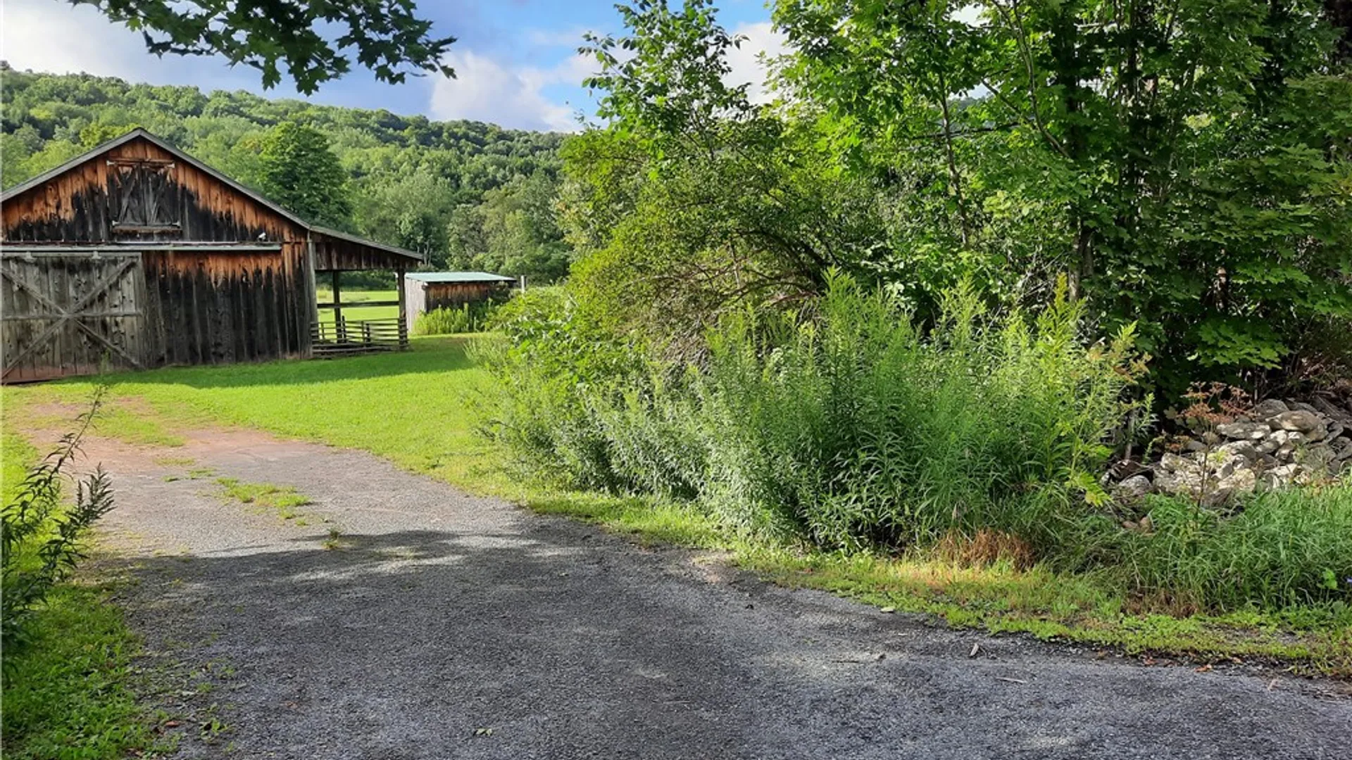 Property at County Route 41, Roxbury, NY 12474 8