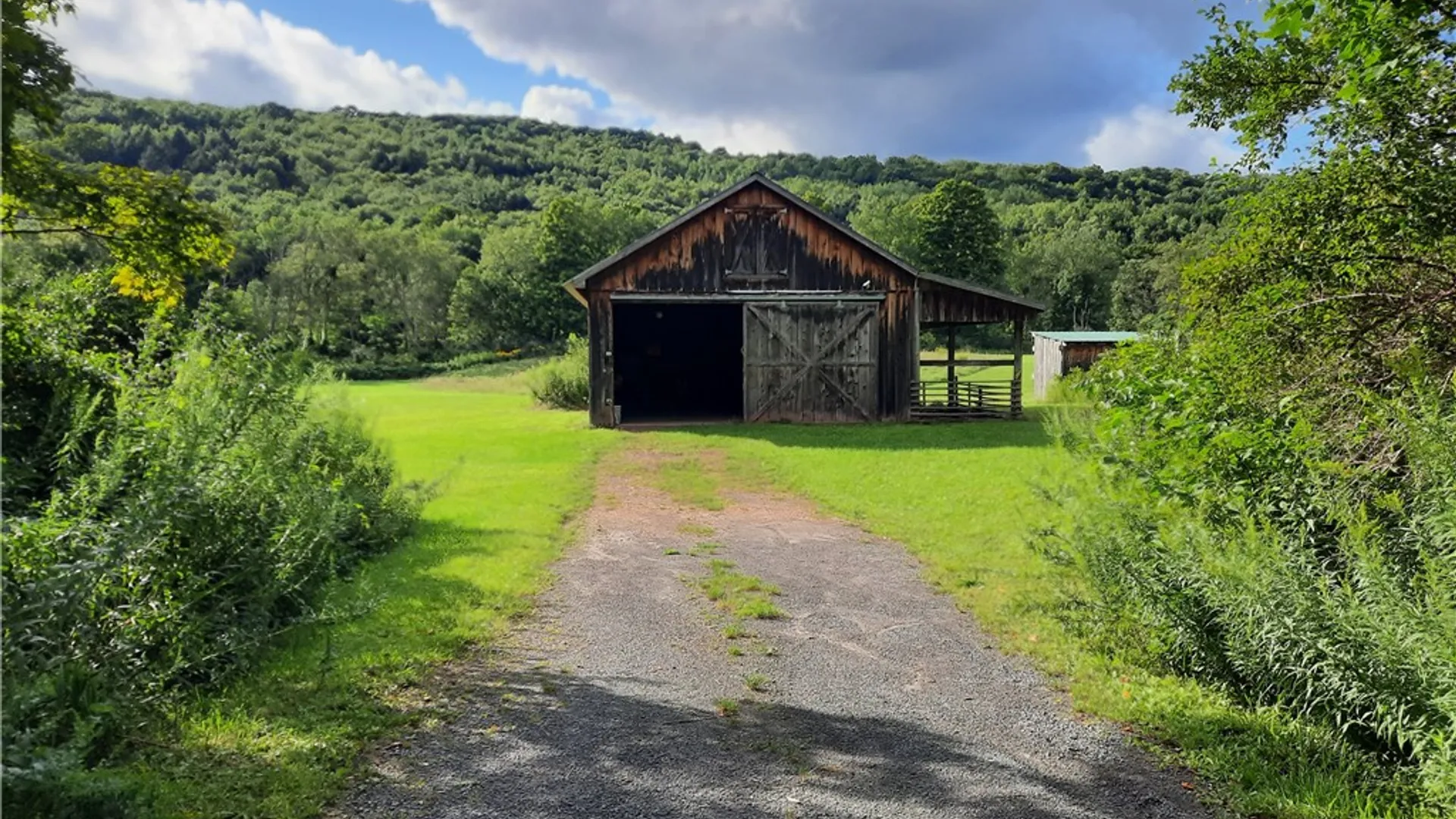 Property at County Route 41, Roxbury, NY 12474 9