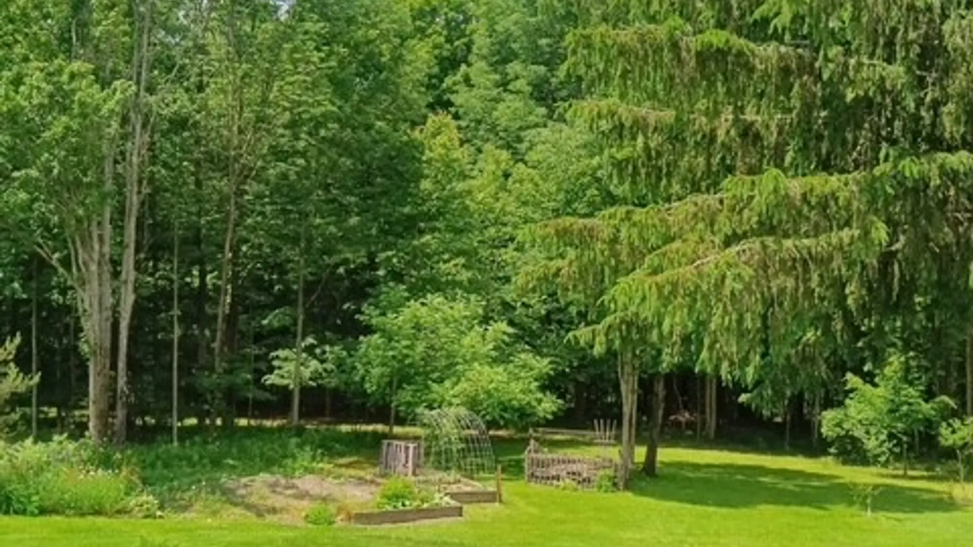 Property at 475 Pittsley Road, Morris, NY 13843 2
