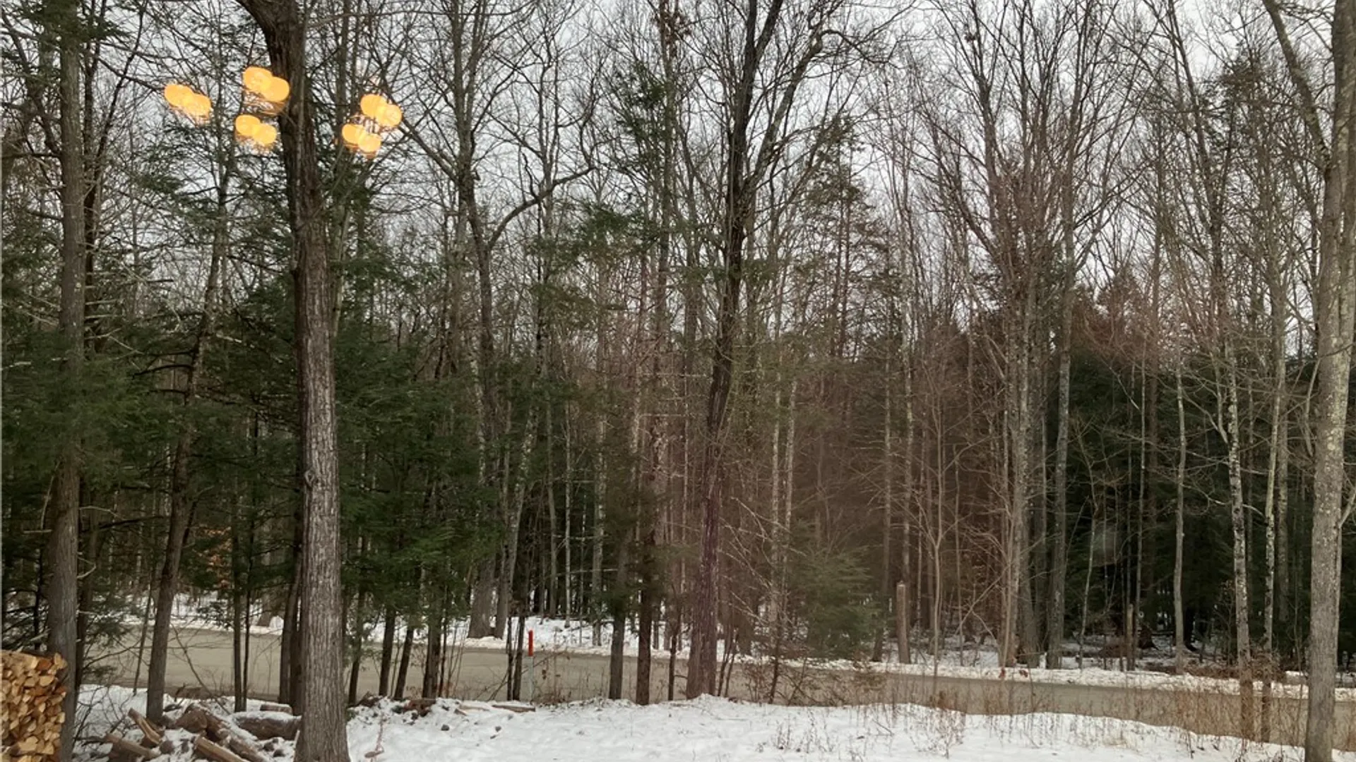 Property at 314 Sibley Road, Nichols, NY 13827 40
