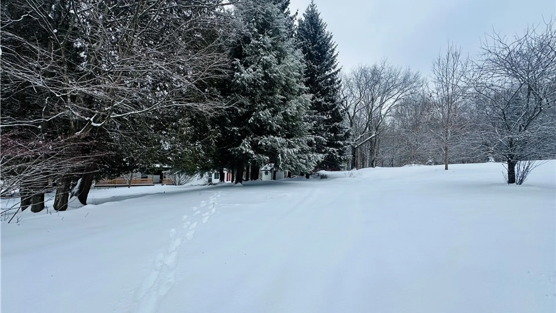 Property at 29 Grove Street, Marathon, NY 13803 27