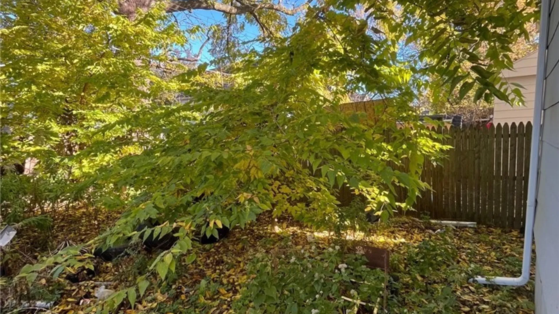 Property at 64 Roycroft Drive, Rochester, NY 14621 2