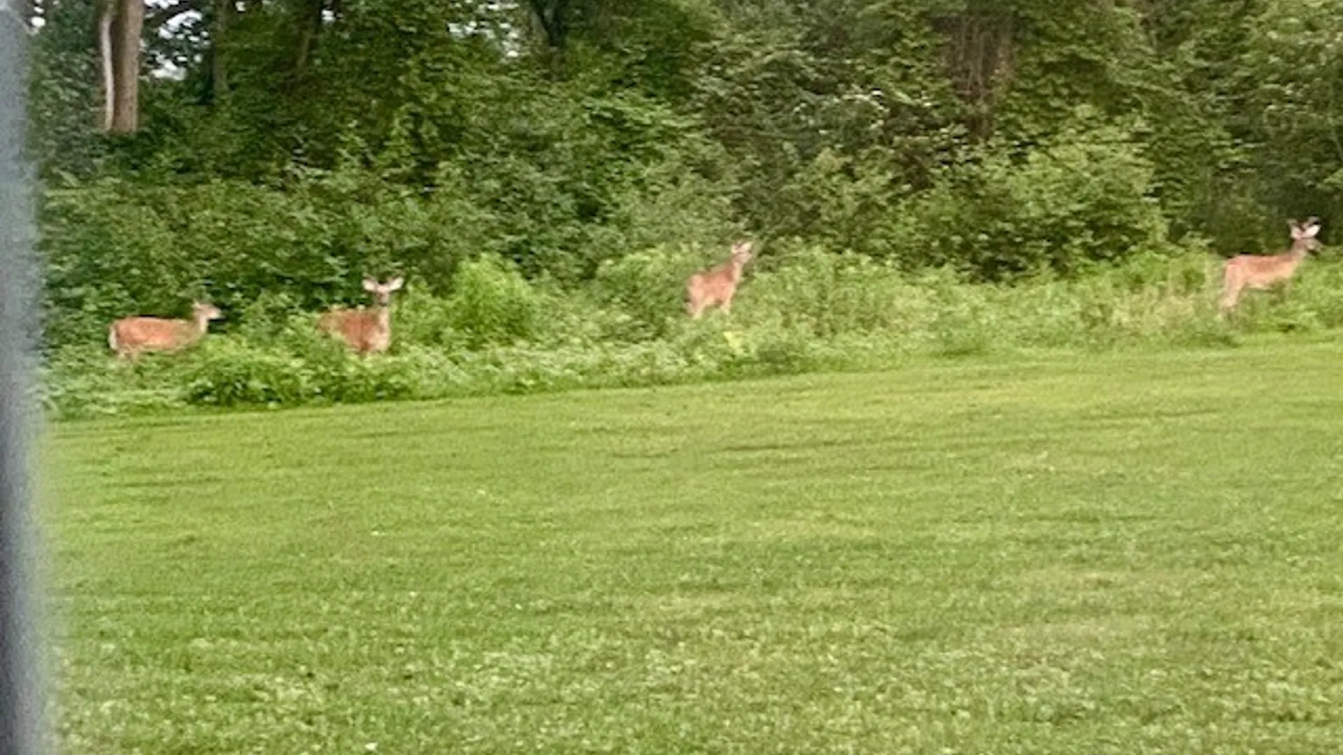 Property at 9709 Farel Road, Pomfret, NY 14063 49