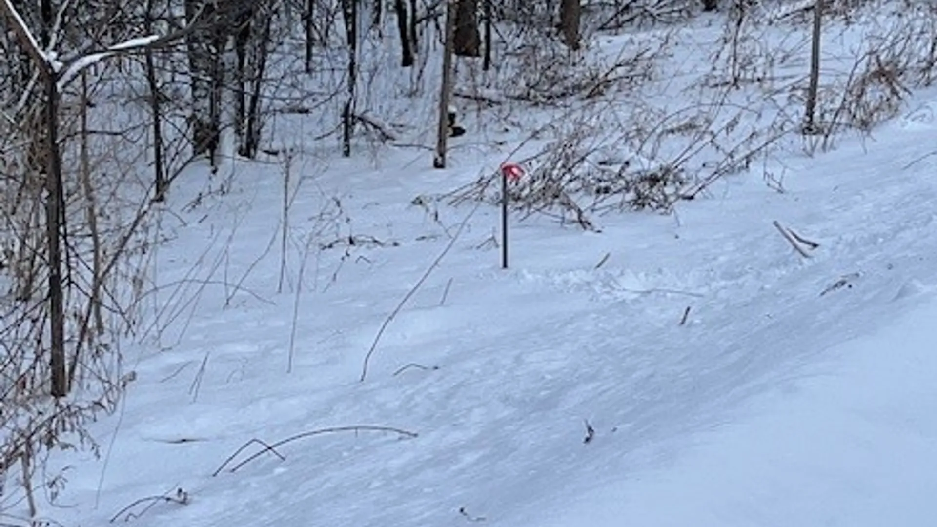 Property at 00 Pompey Hollow Road, Pompey, NY 13138 10