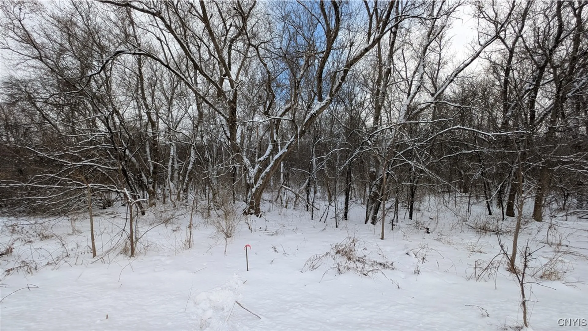 Property at 00 Pompey Hollow Road, Pompey, NY 13138 4