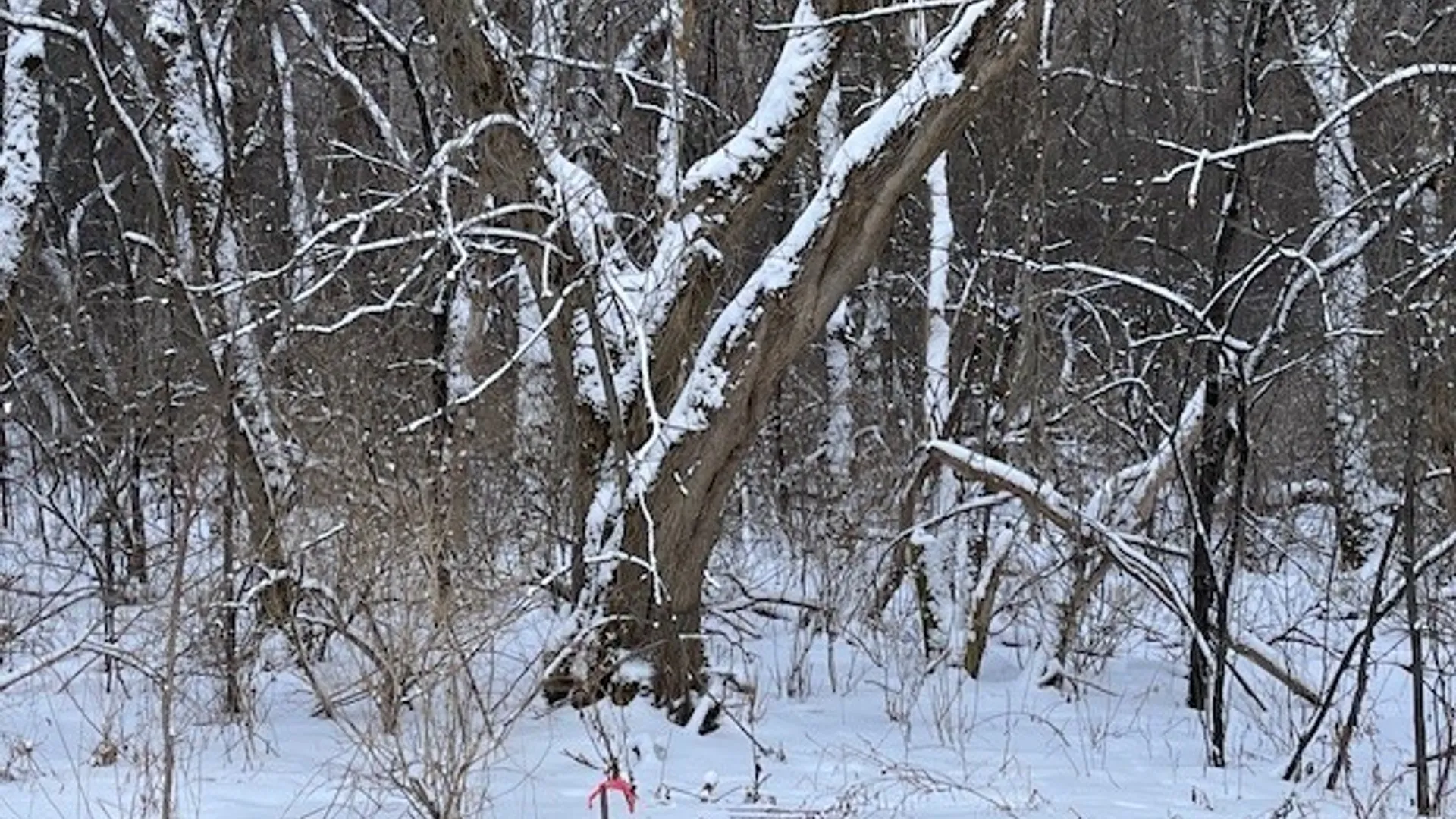 Property at 00 Pompey Hollow Road, Pompey, NY 13138 5