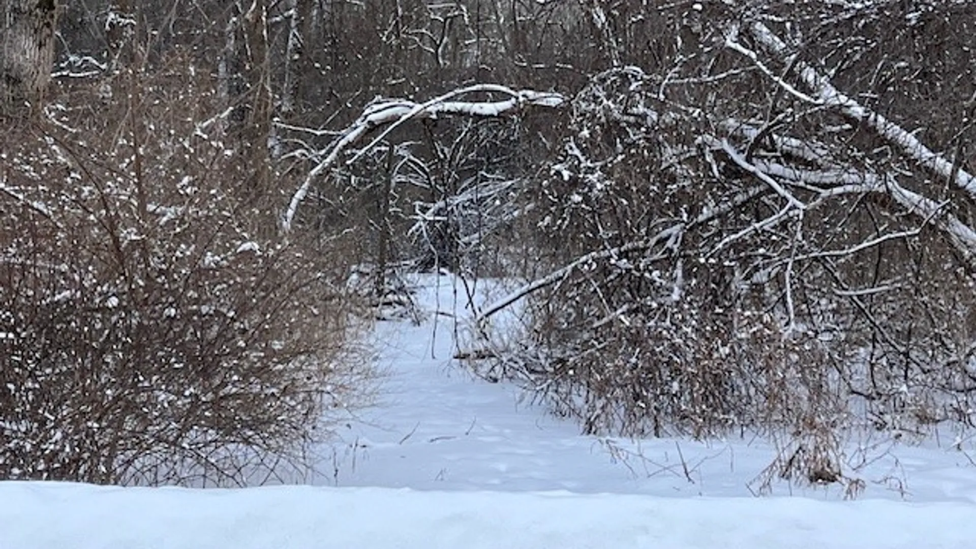 Property at 00 Pompey Hollow Road, Pompey, NY 13138 6