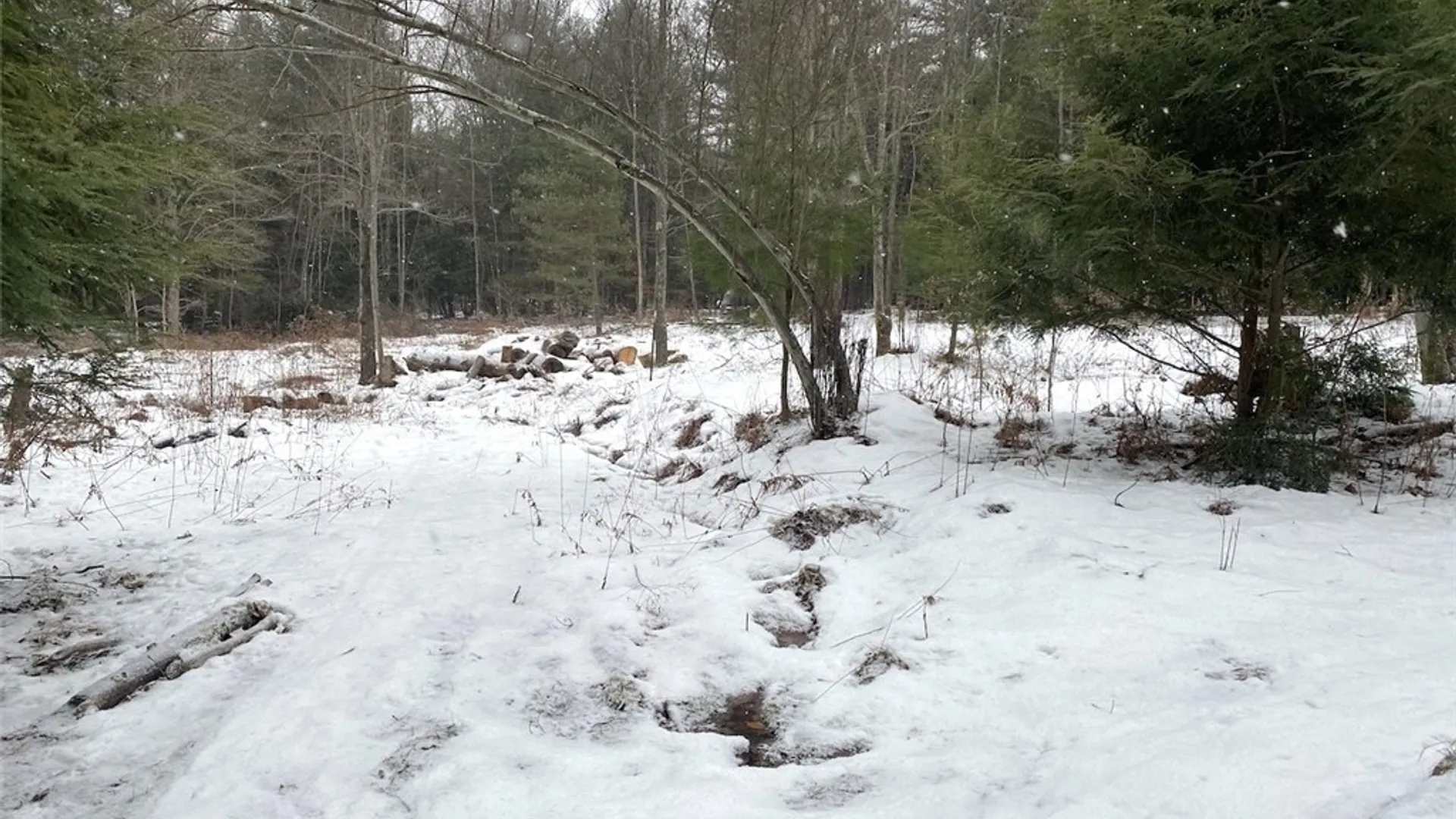 Property at 1892 County Road 18, Alma, NY 14895 13