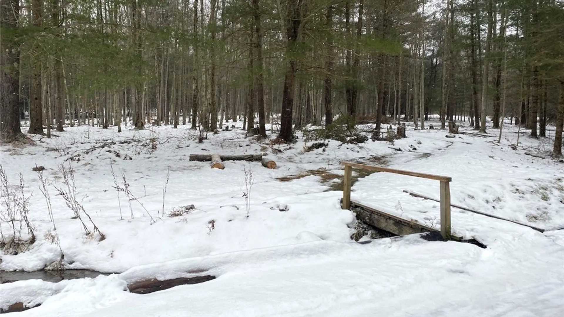 Property at 1892 County Road 18, Alma, NY 14895 8
