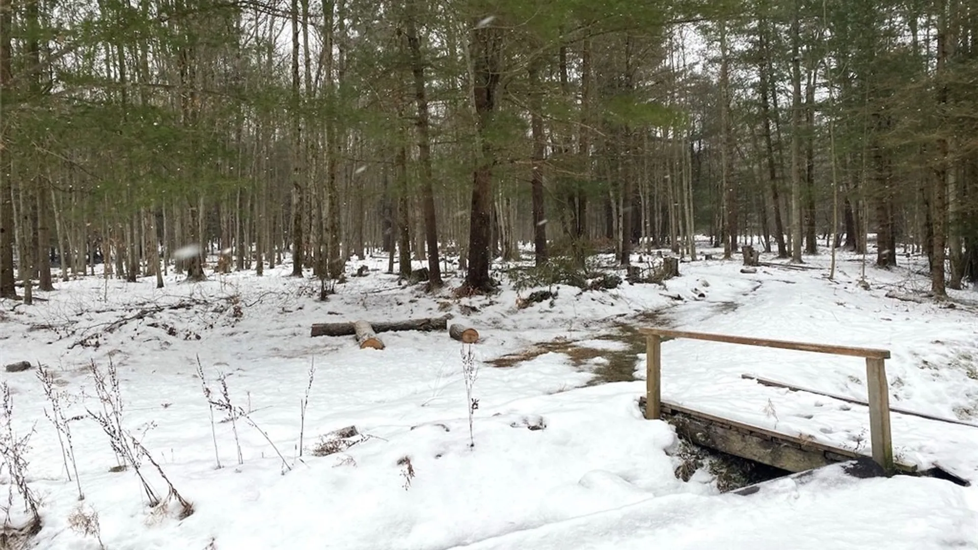 Property at 1892 County Road 18, Alma, NY 14895 9