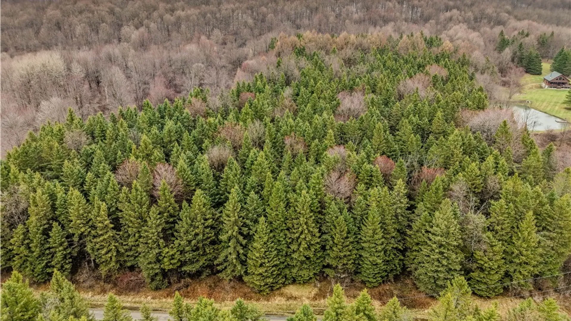 Property at Cogar Drive, Schuyler, NY 13340 2