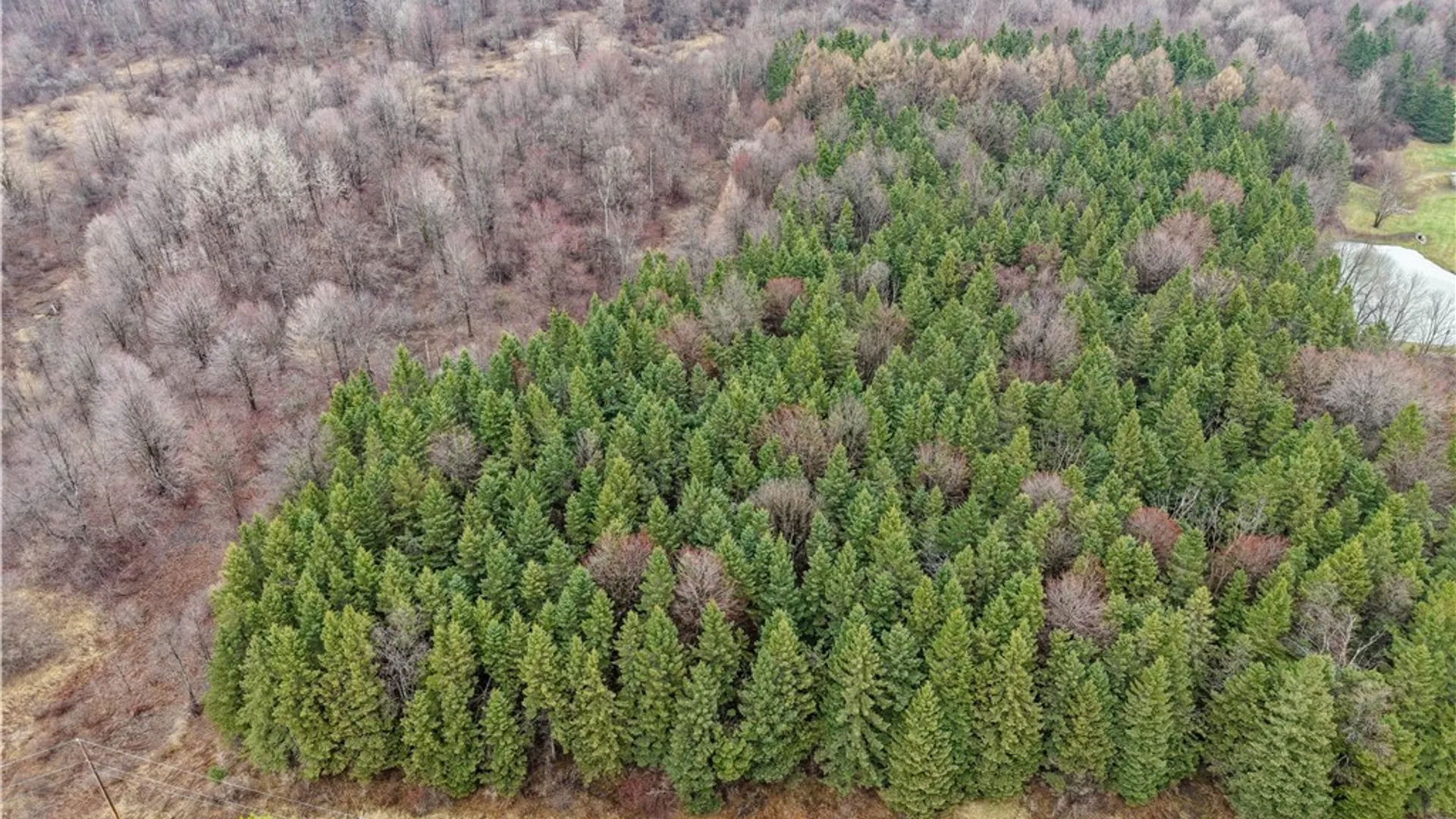 Property at Cogar Drive, Schuyler, NY 13340 3