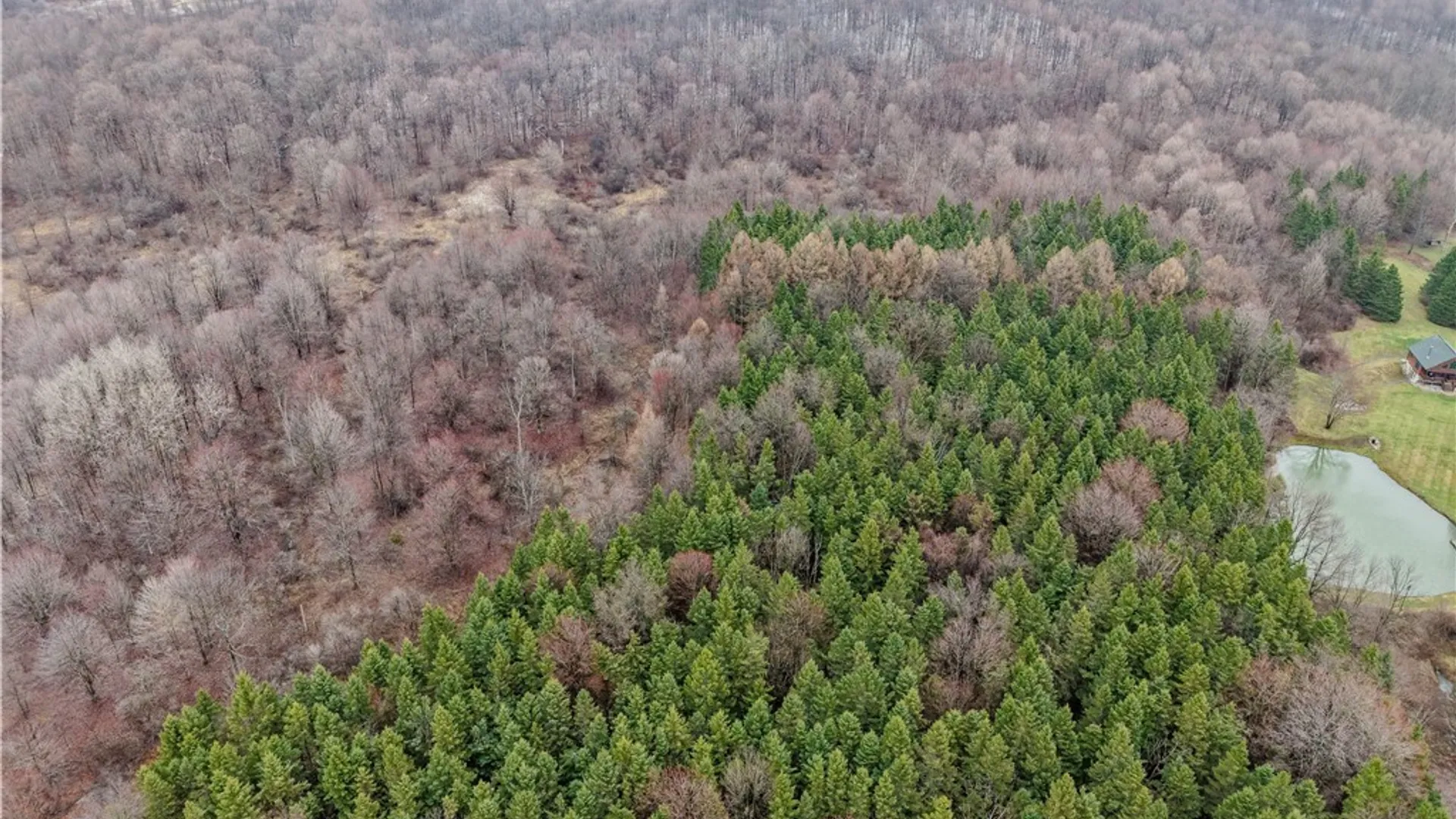 Property at Cogar Drive, Schuyler, NY 13340 7