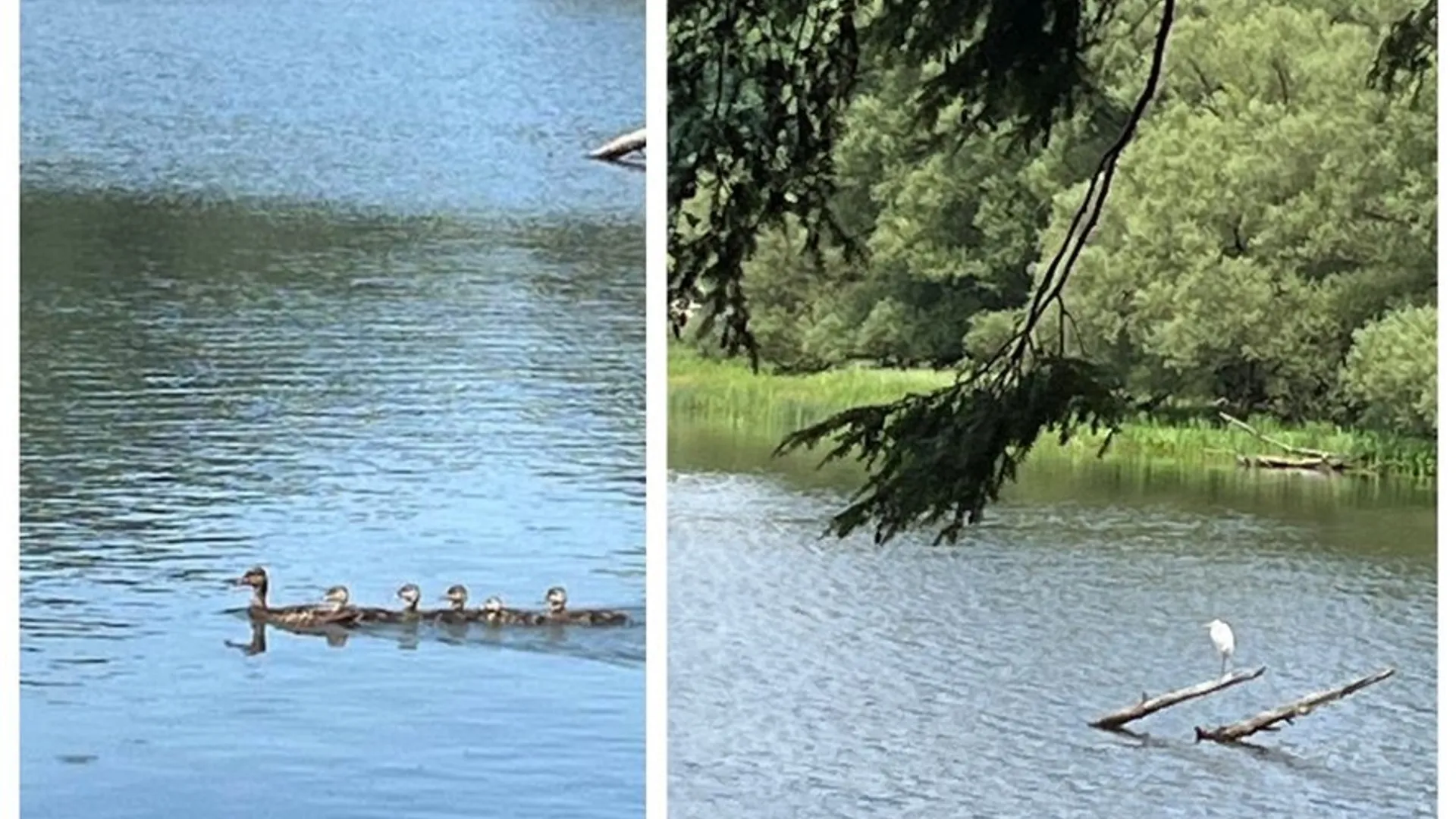 Property at 309 Bob Wilson Road, Milford, NY 13820 47