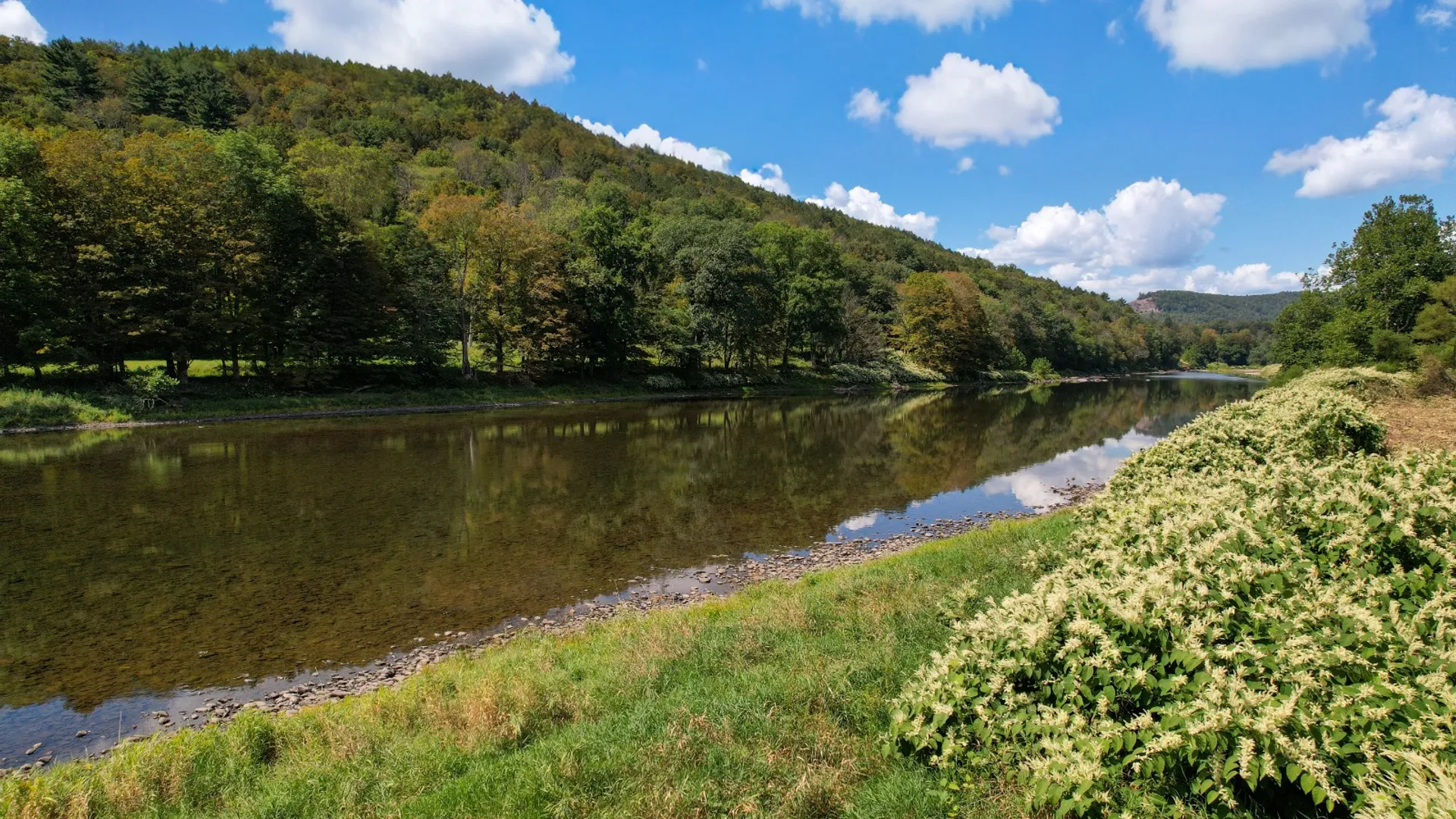 Property at 0 LaBarre St., Hancock, NY 13783 5