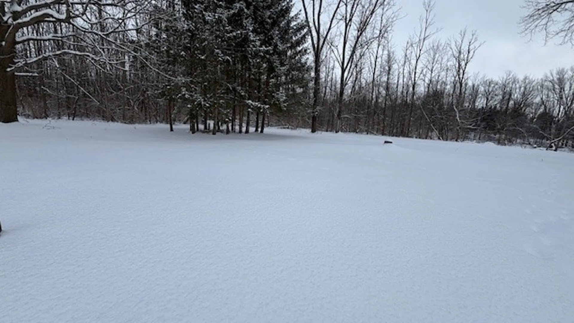 Property at 16988 Creek Road, Kendall, NY 14470 46