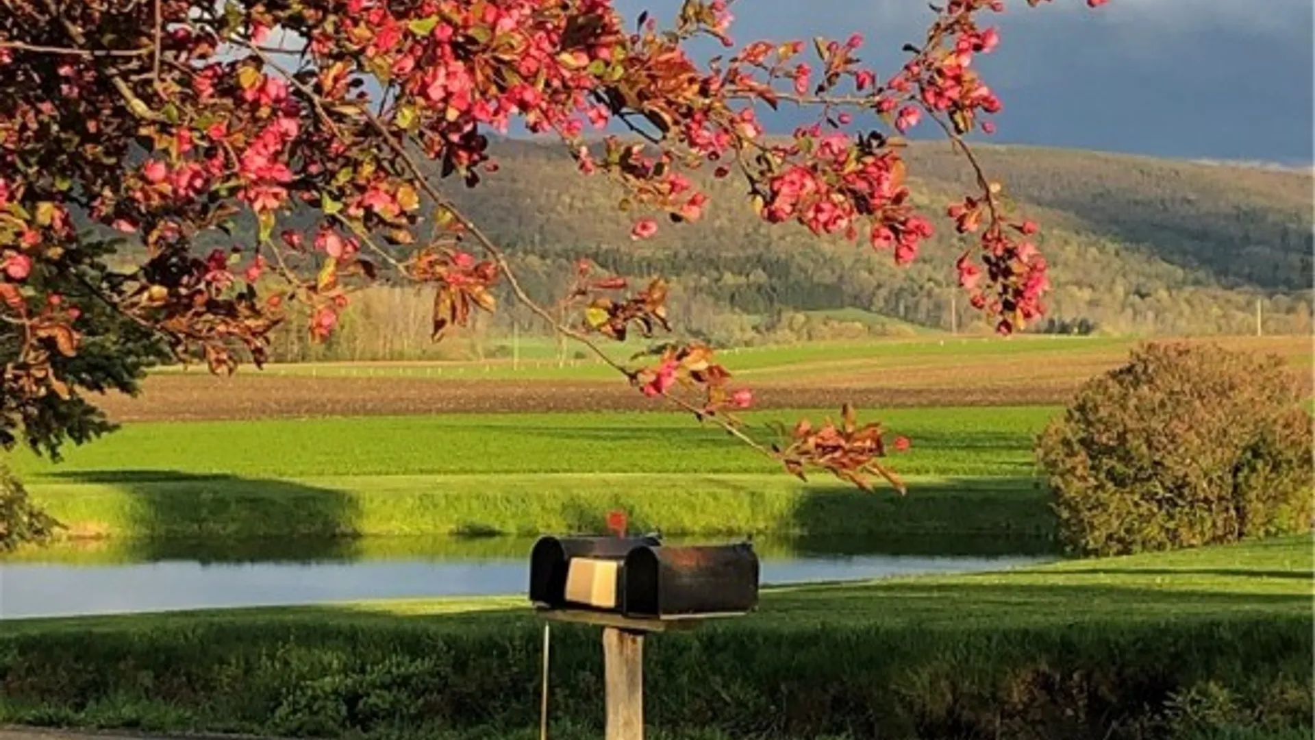 Property at 5999 Morris Road, Hector, NY 14805 48