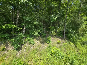 0 Warren Road, Middlesex, NY 14507