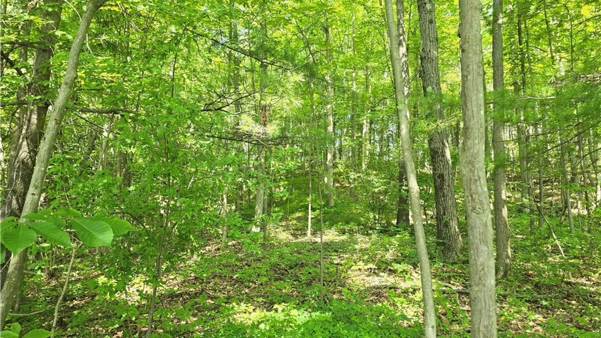 Property at 0 Warren Road, Middlesex, NY 14507 3