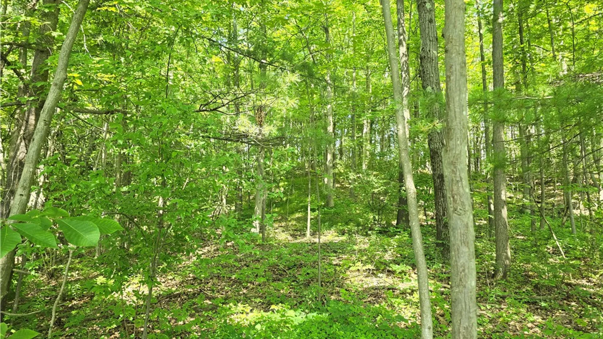 Property at 0 Warren Road, Middlesex, NY 14507 4