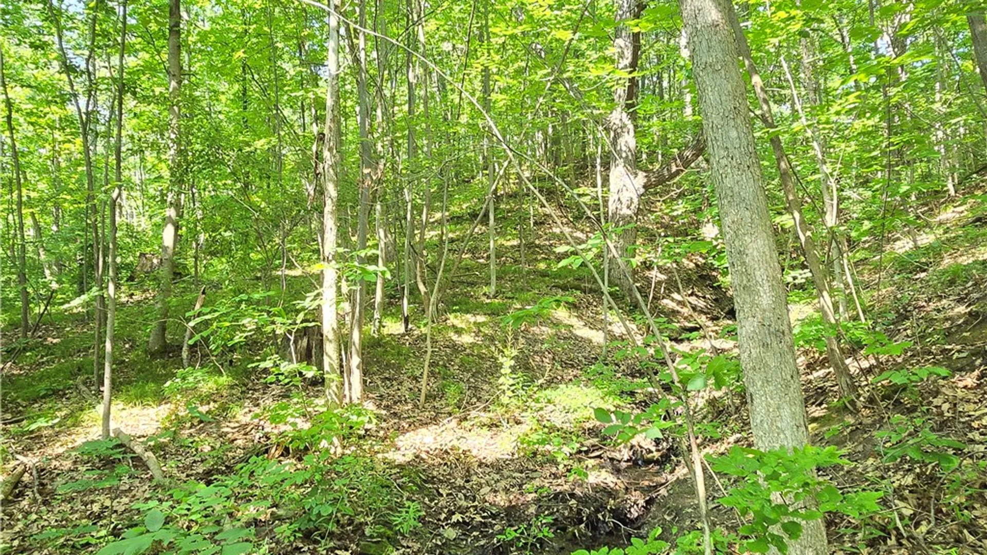 Property at 0 Warren Road, Middlesex, NY 14507 5