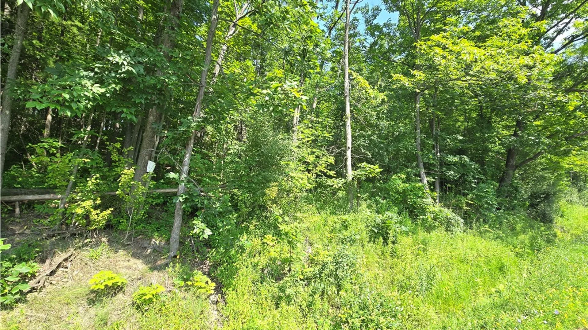 Property at 0 Warren Road, Middlesex, NY 14507 6