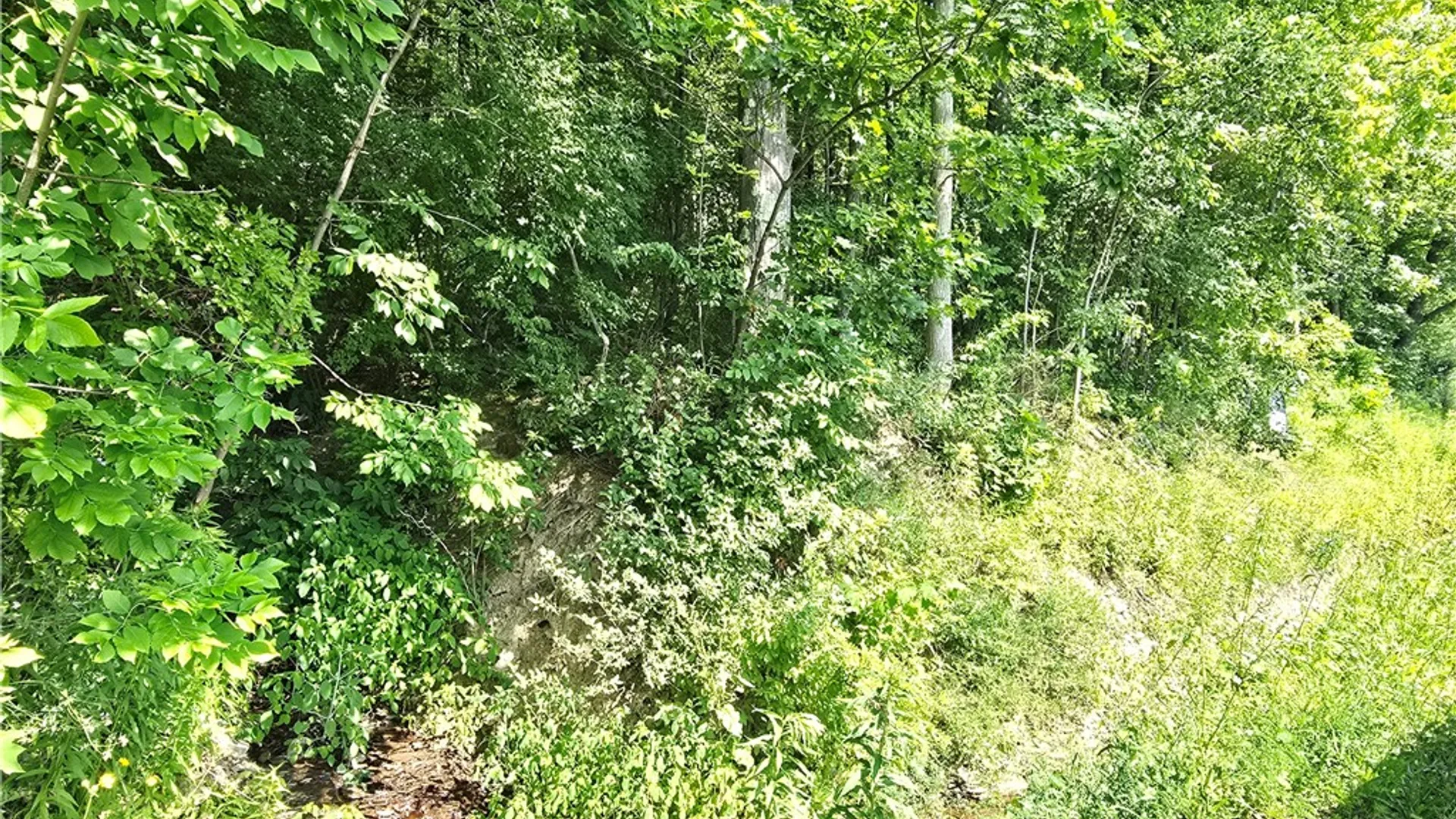 Property at 0 Warren Road, Middlesex, NY 14507 7