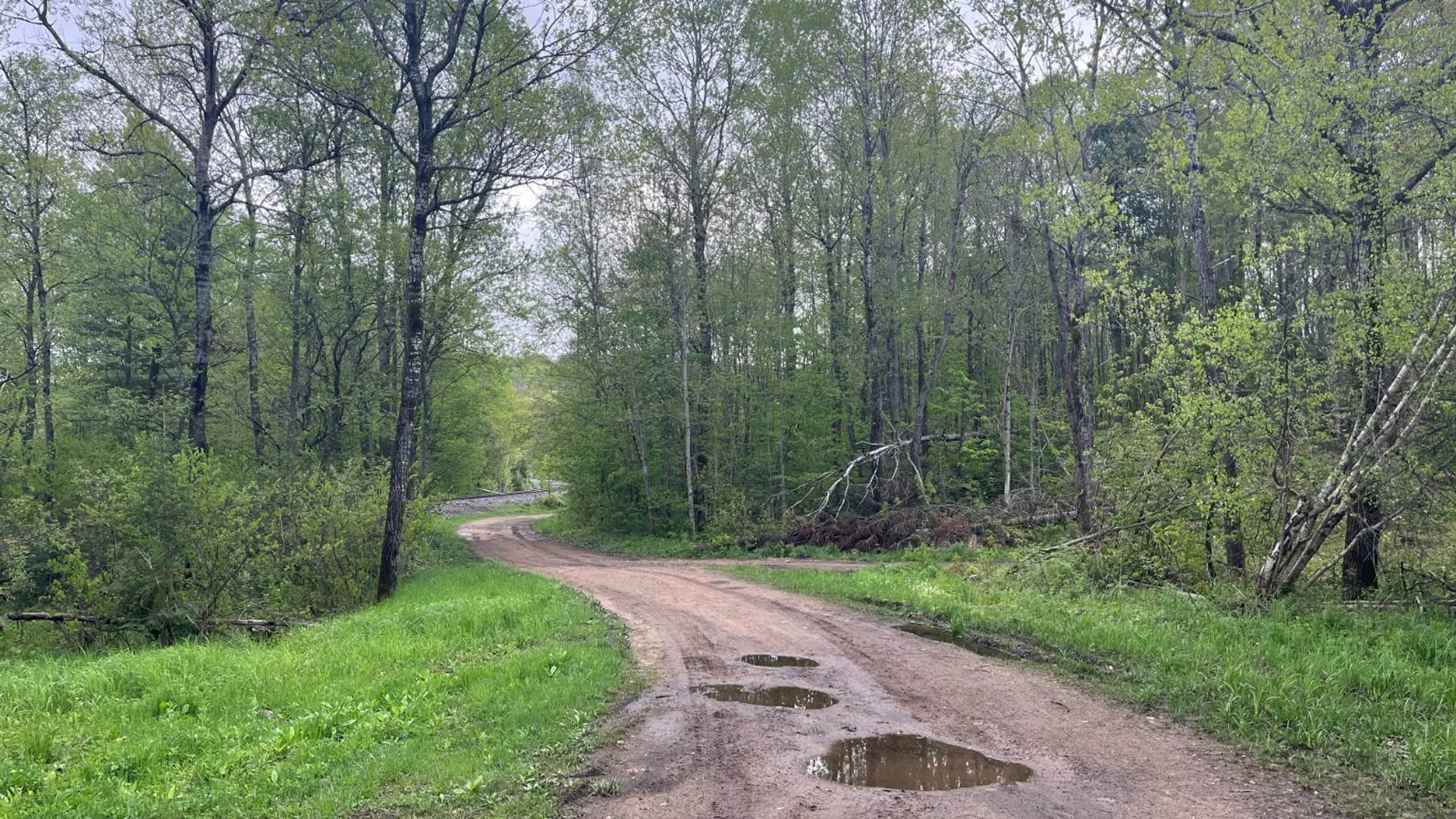 Property at off Laplante Rd, Star Lake, NY 13690 10