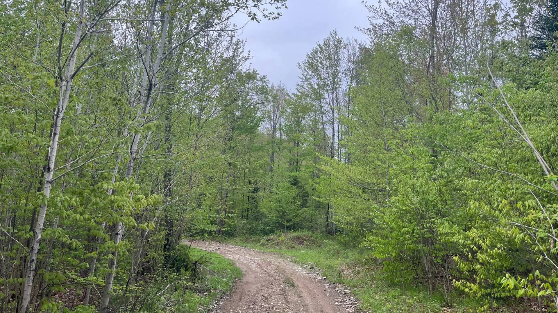 Property at off Laplante Rd, Star Lake, NY 13690 12