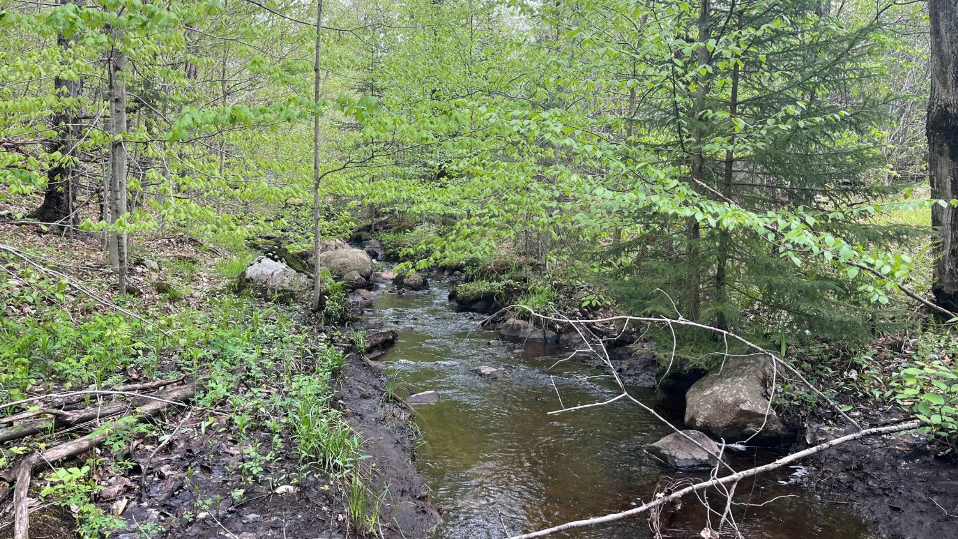 Property at off Laplante Rd, Star Lake, NY 13690 19