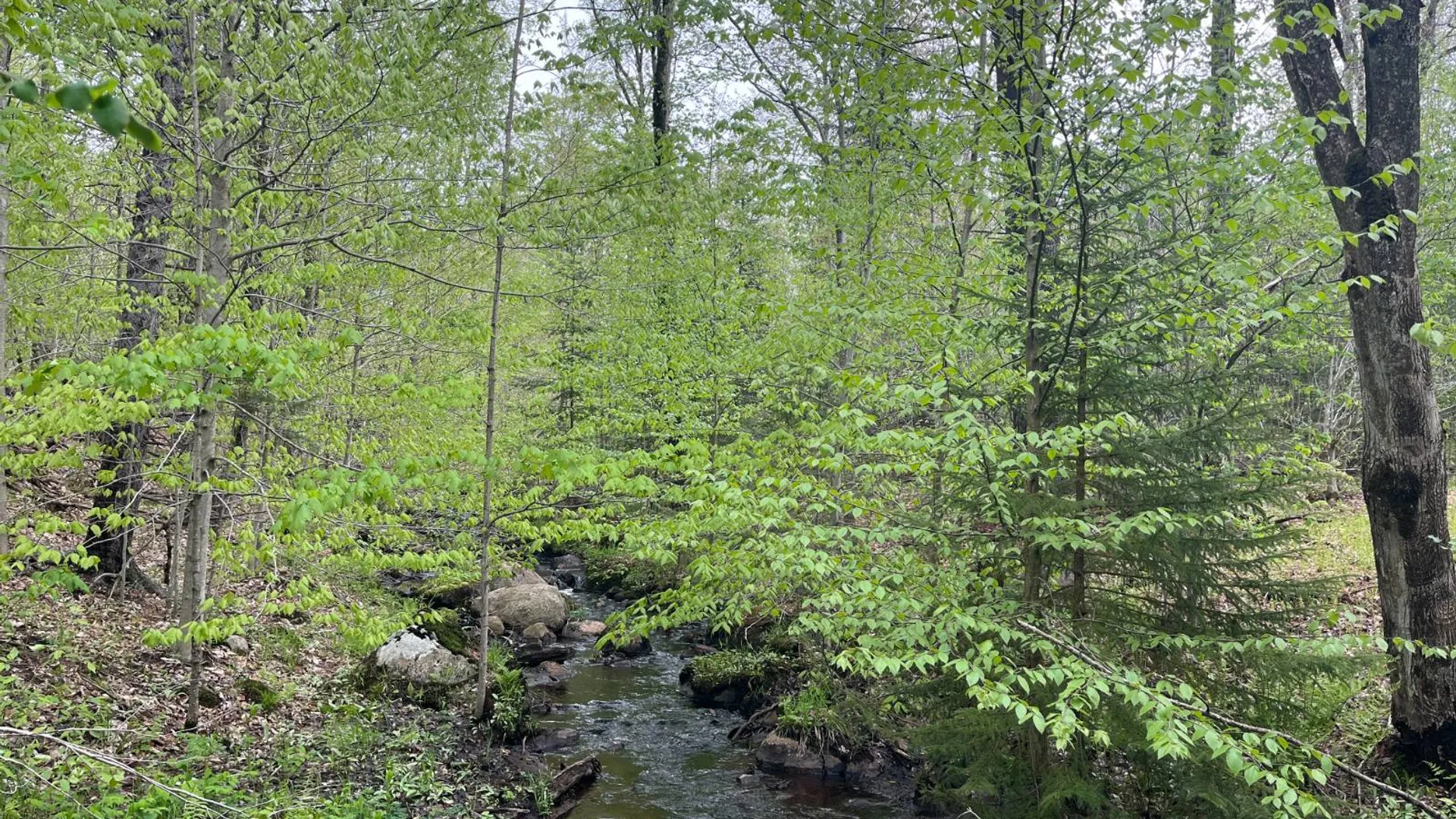 Property at off Laplante Rd, Star Lake, NY 13690 20