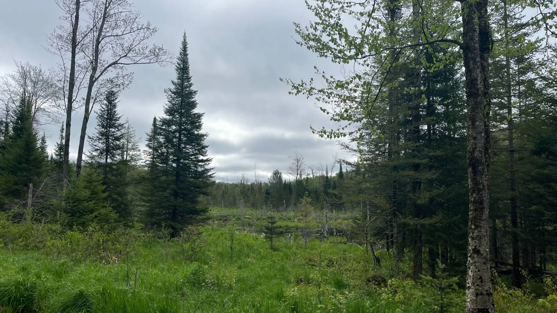 Property at off Laplante Rd, Star Lake, NY 13690 24