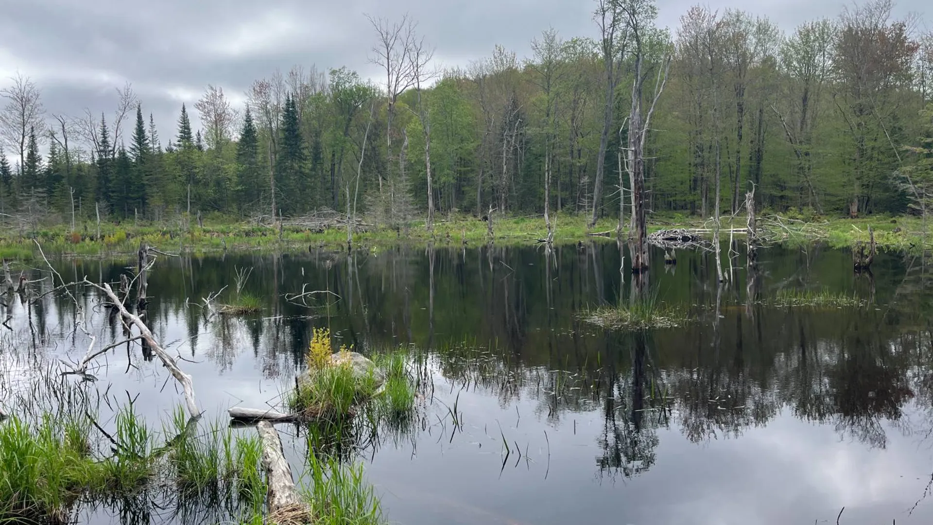 Property at off Laplante Rd, Star Lake, NY 13690 25