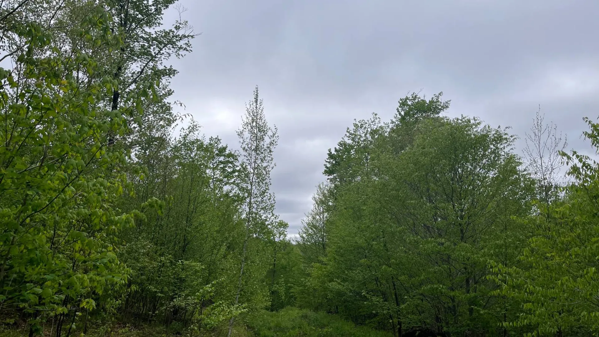 Property at off Laplante Rd, Star Lake, NY 13690 26