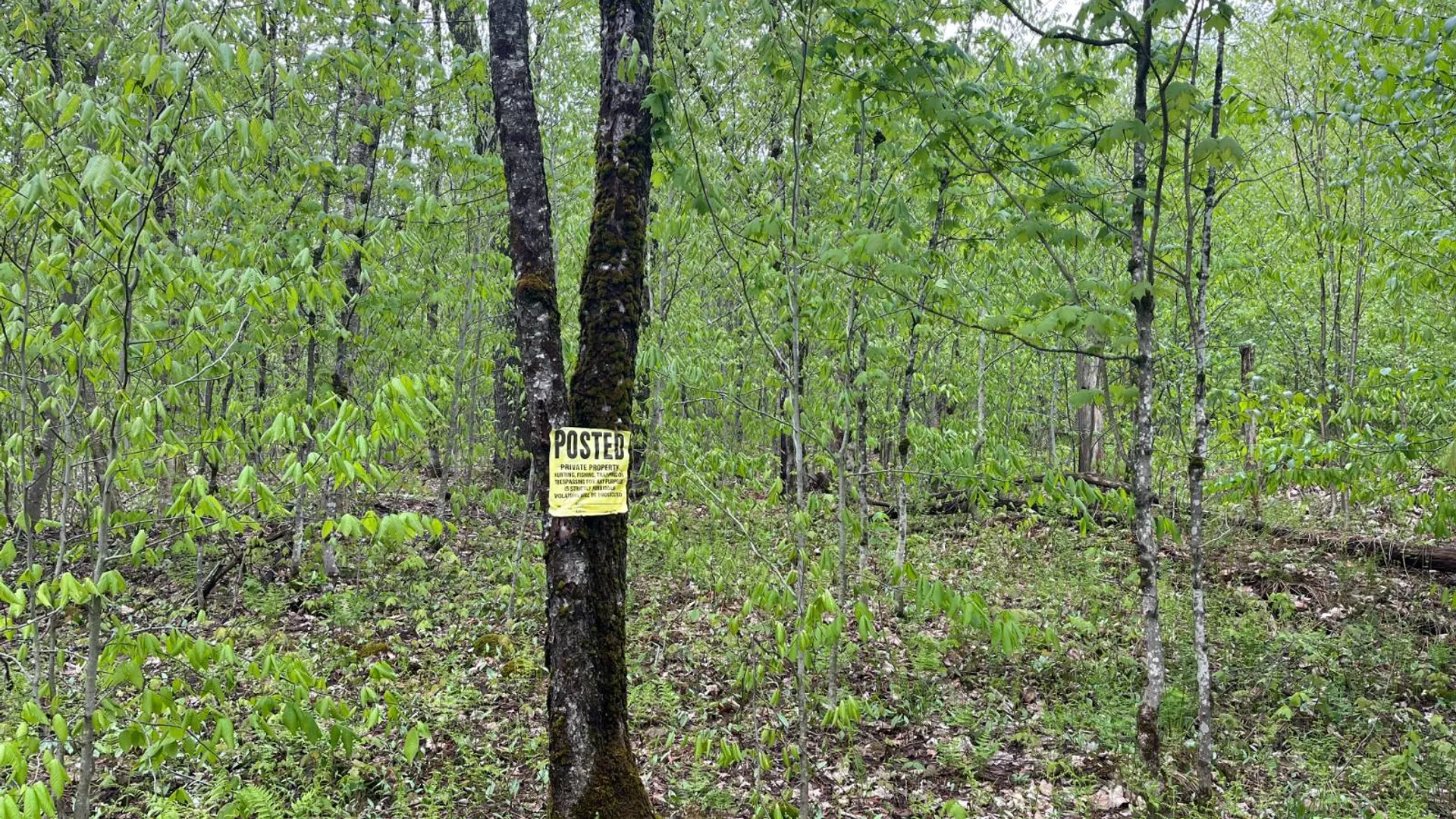 Property at off Laplante Rd, Star Lake, NY 13690 27