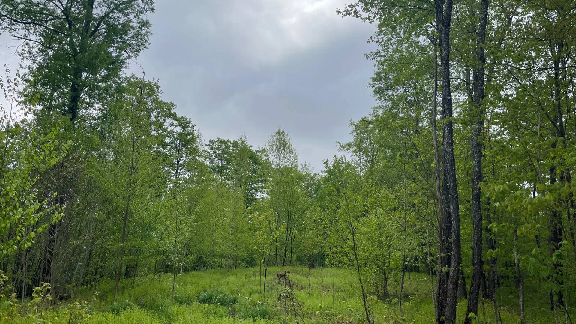 Property at off Laplante Rd, Star Lake, NY 13690 30
