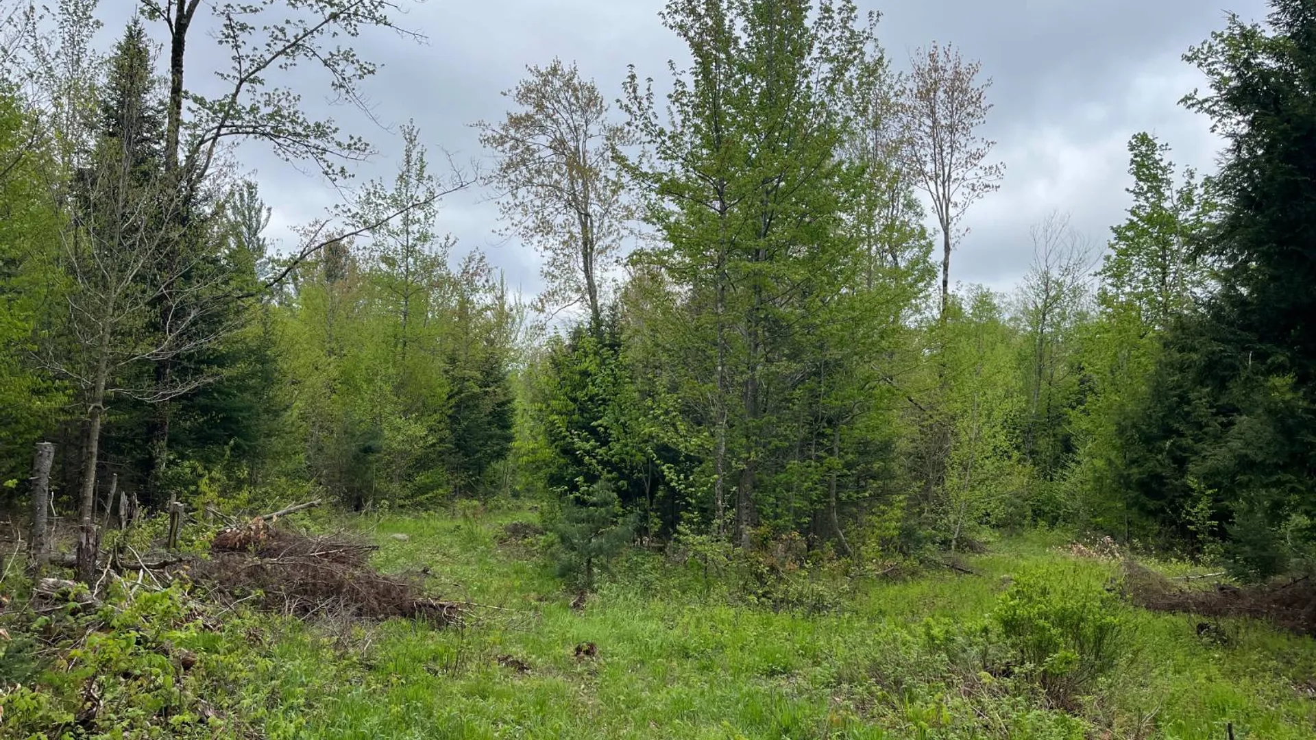 Property at off Laplante Rd, Star Lake, NY 13690 33