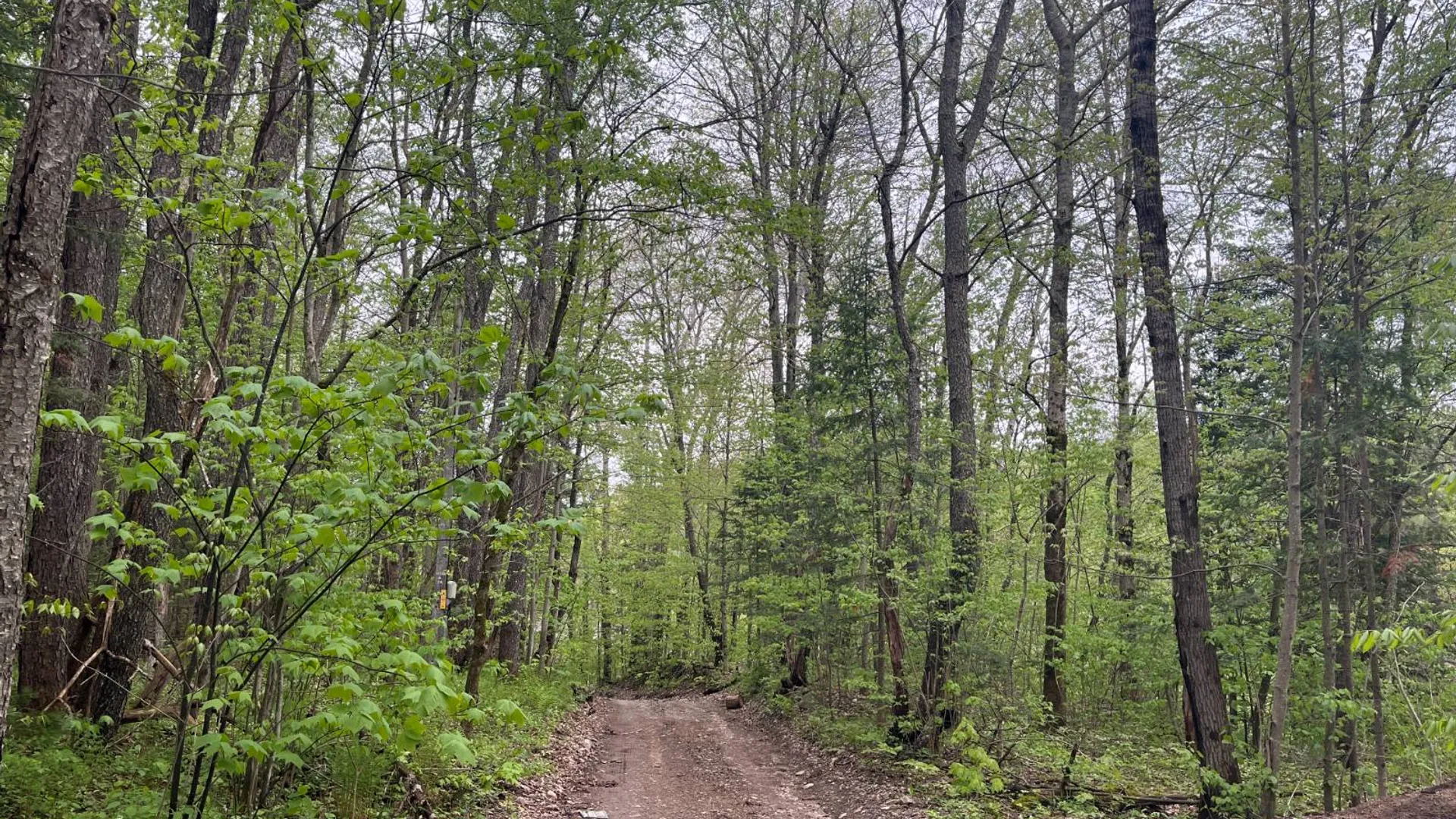 Property at off Laplante Rd, Star Lake, NY 13690 8