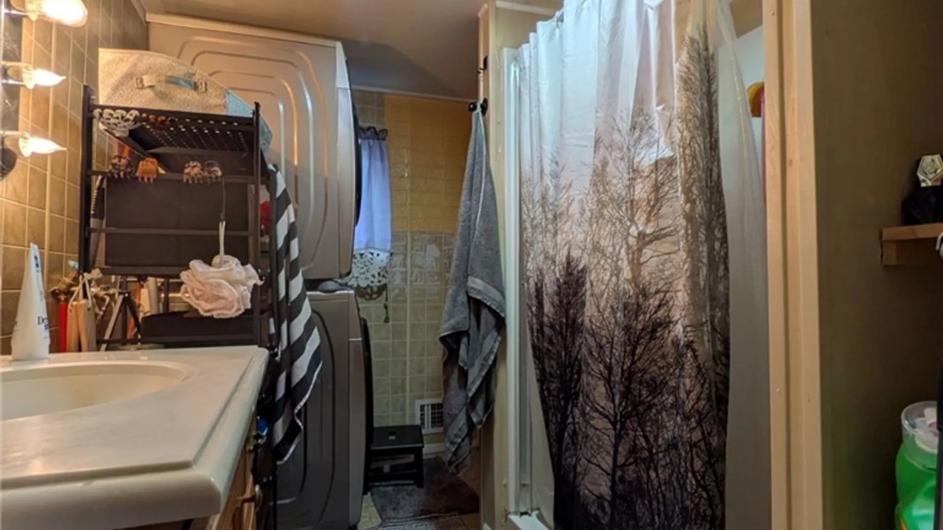 Property at 217 Liberty Street, Horseheads, NY 14845 17