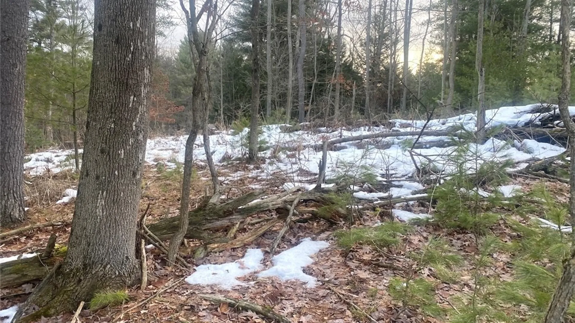 Property at 7634 Tucker Hill Road, Caneadea, NY 14744 20