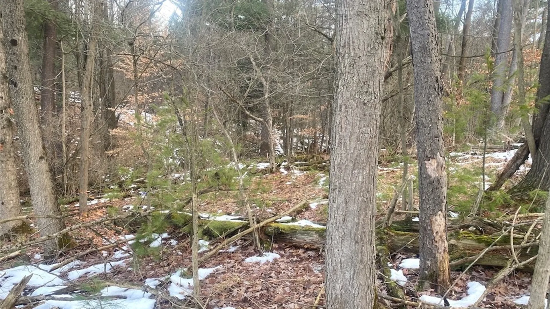 Property at 7634 Tucker Hill Road, Caneadea, NY 14744 21