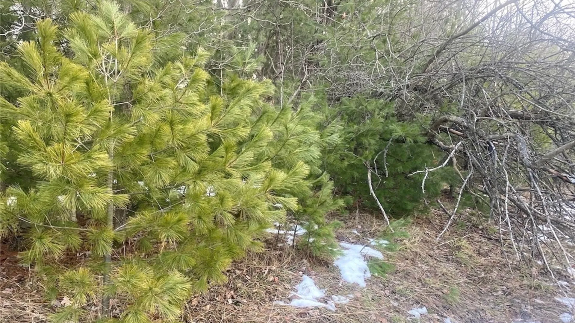 Property at 7634 Tucker Hill Road, Caneadea, NY 14744 22