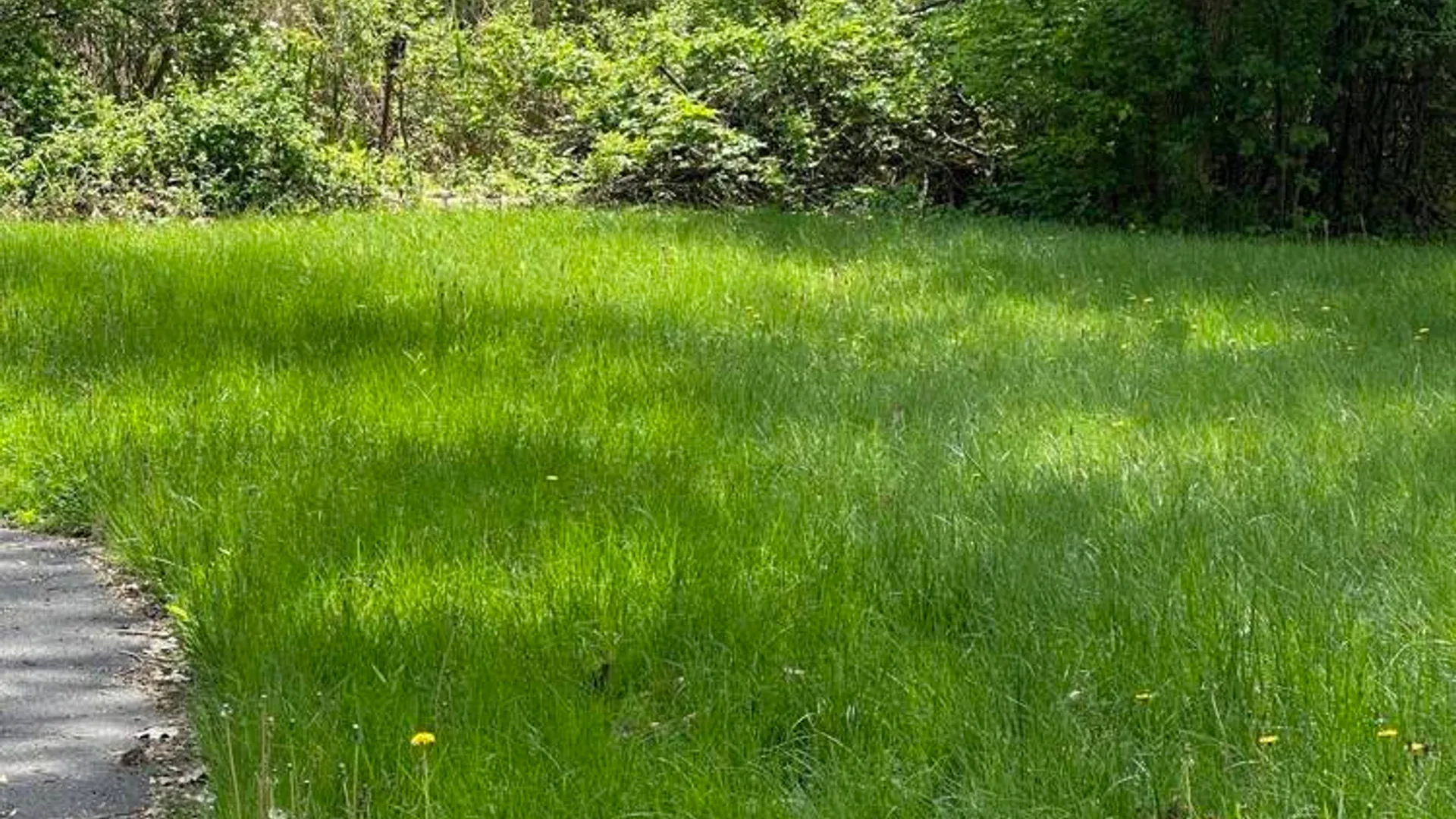 Property at L30 Inwood Avenue, Niskayuna, NY 12309 2