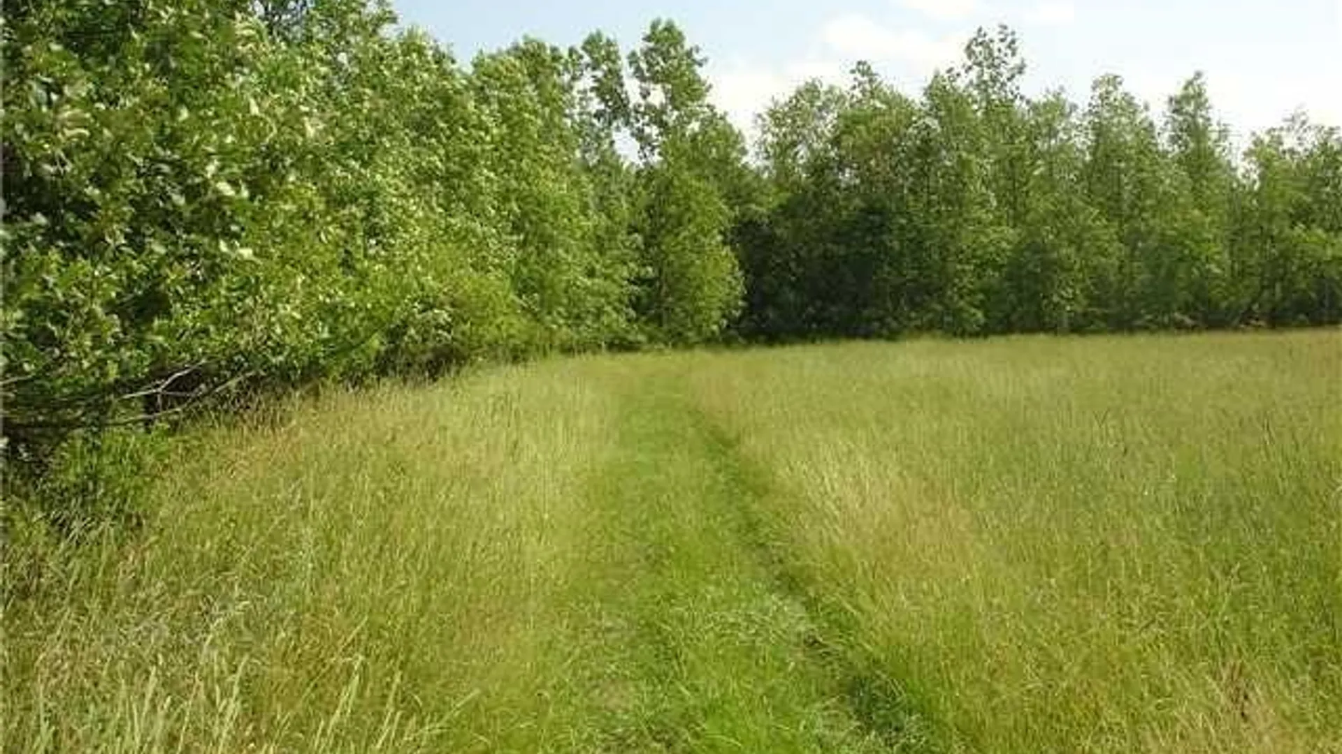 Property at 5497 Genesee Street, Lancaster, NY 14086 2