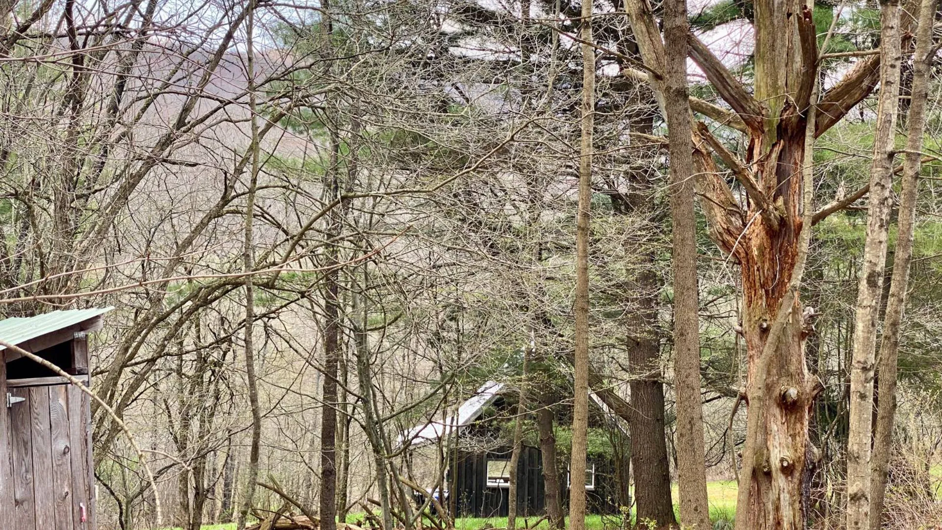 Property at 277 Seedorf Rd, Bovina, NY 13740 18